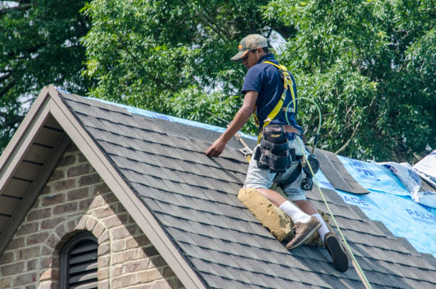 Quick and Trustworthy Emergency Roof Repair Services in Colwyn, PA